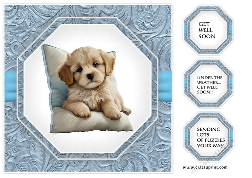 Topper Get Well Soon  Puppy 4