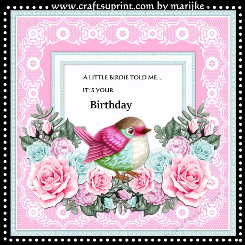 A Little Birdie Mini Kit