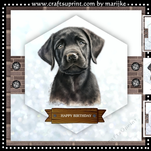 Man`s  Best Friend Mini Kit