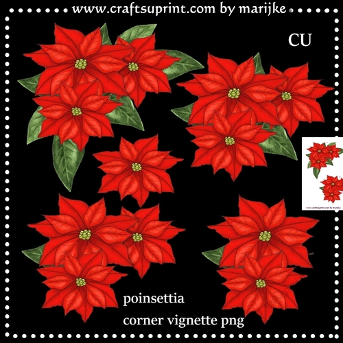 CU  PoinsettiaCorner Vignette