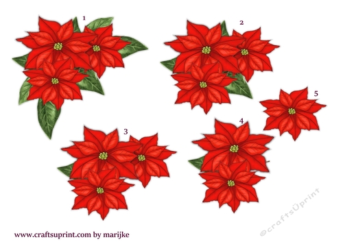 Step By Step Christmas Poinsettias