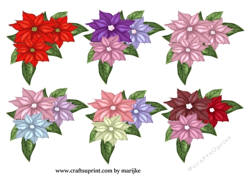 Cut Out  Christmas Poinsettias
