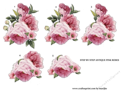 Step By Step   Antique Pink Roses 