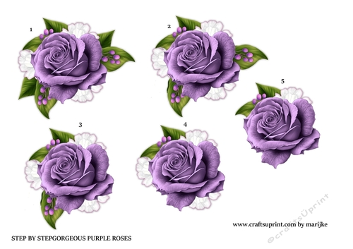 Step By Step Gorgeous Purple  Roses 