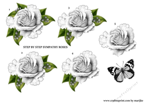 Step By Step Gorgeous  Sympathy   Roses 