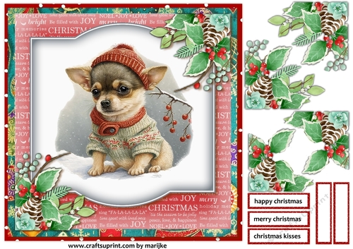 Christmas Baby  Chihuahua