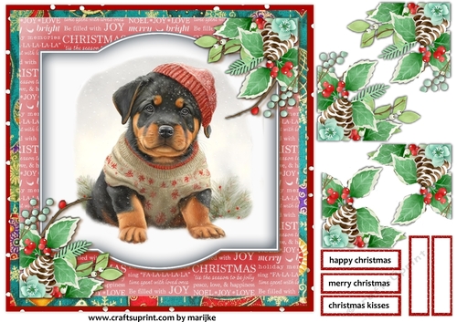 Christmas Baby  Rottweiler