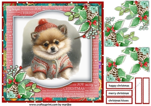 Christmas Baby Pomeranian