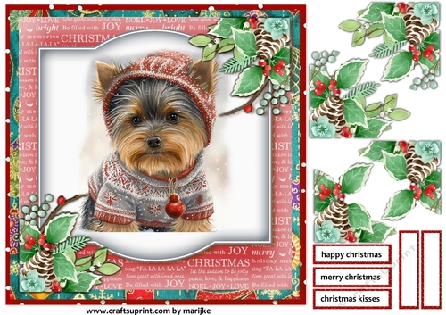 Christmas Baby Yorkshire Terrier 1