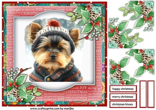 Christmas Baby Yorkshire Terrier 2