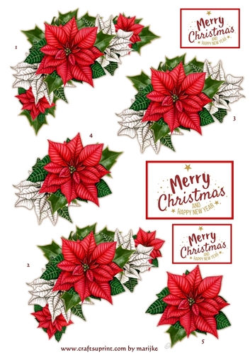 Poinsettias Step By Step