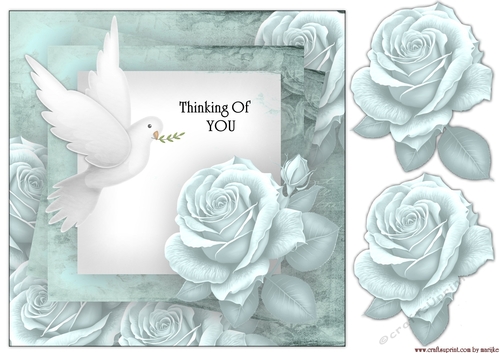 Sympathy Roses 2 Thinking Of You