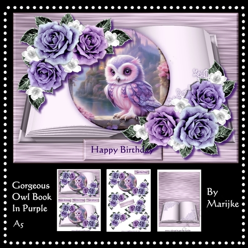 Gorgeous Owl Book In Purple