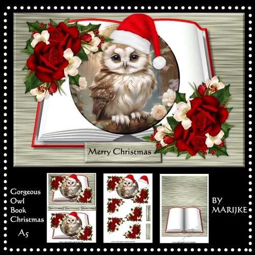 Gorgeous Owl Book Christmas