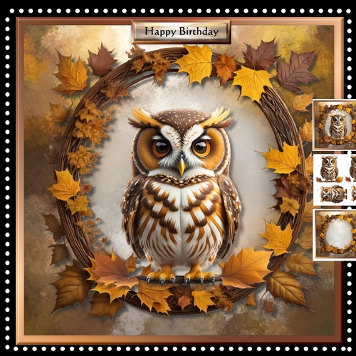 Male Card Wise Owl Mini Kit