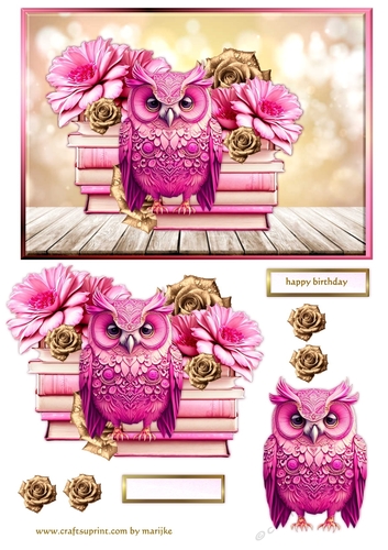 Gorgeous Pink  Owl  Quick Card