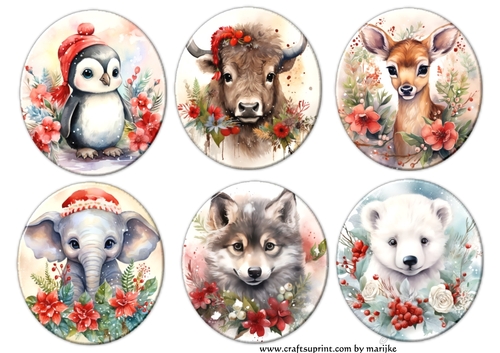 Christmas Cuties