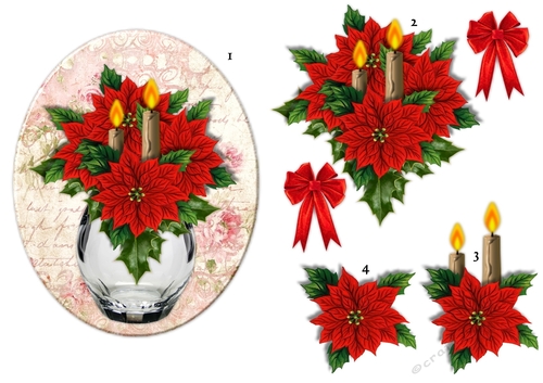 Oval Topper Poinsettias Bouquet