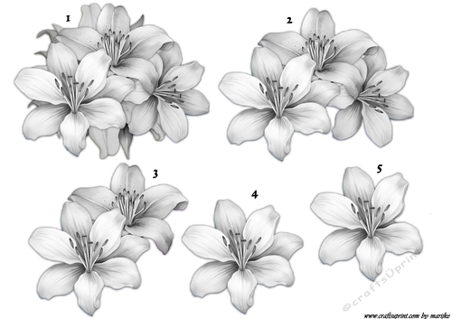 Step By Step Pastel  Lilies Sympathy