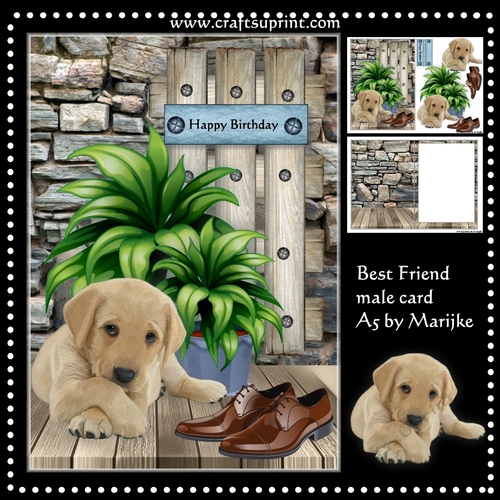 Best Friend Male Card A5 Mini Kit