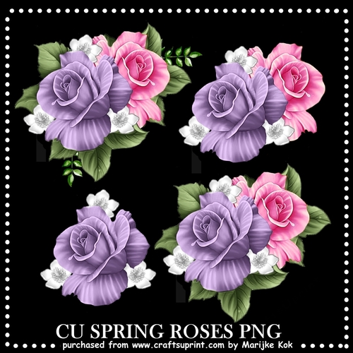 CU Spring Roses