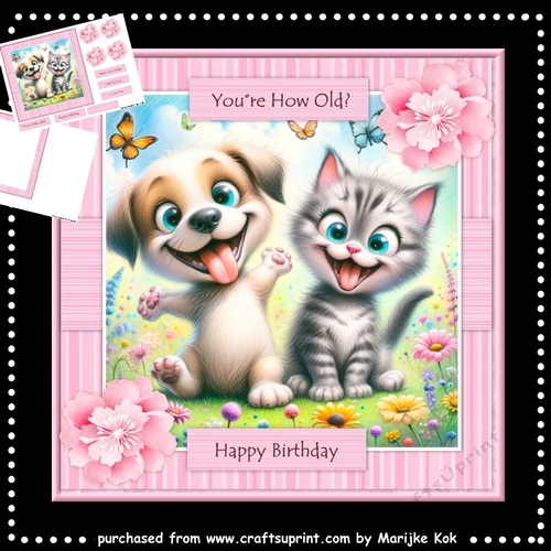 Funny Kitten and Puppy Mini Kit