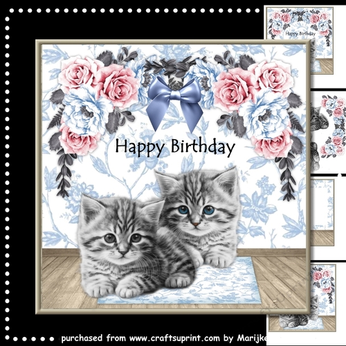 Kittens And Roses Mini Kit