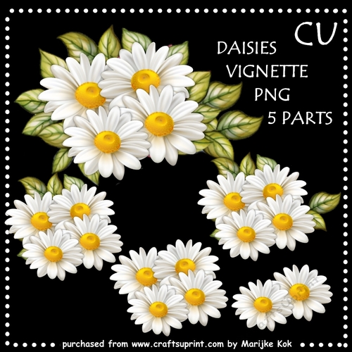 CU Daisies Vignette