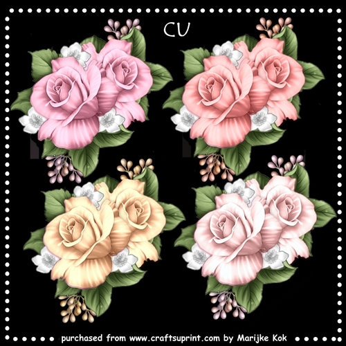 CU  Roses Vignette