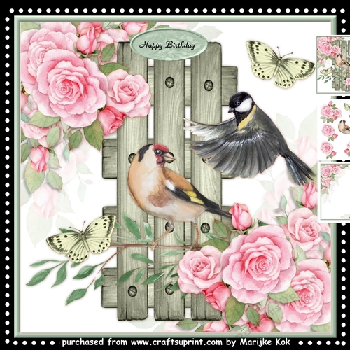 Birdsong   Mini Kit