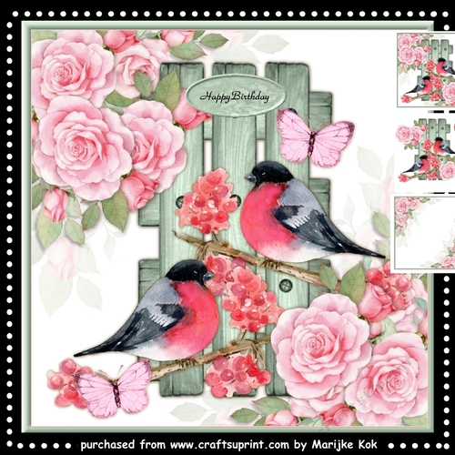 Beautiful  Birds  Mini Kit