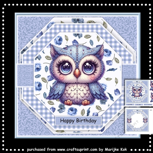 Birthday Owl Mini Kit