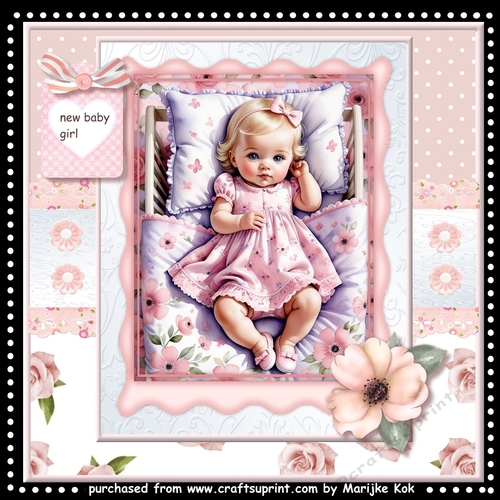 Beautiful Baby Girl  Mini Kit