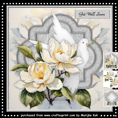 Dove and Magnolias 