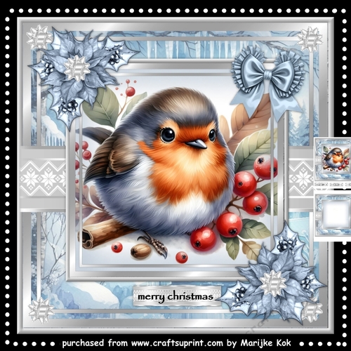 Robin´s Christmas Mini Kit