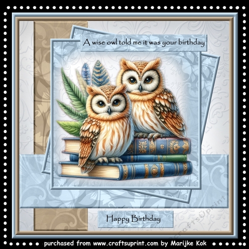 Mini Kit A wise owl