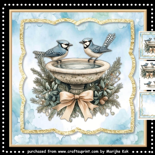 Winter Birds  Mini Kit