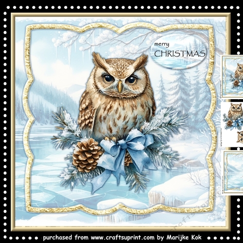 Winter  OWL Mini Kit