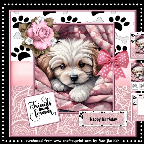 Friends Forever Mini Kit