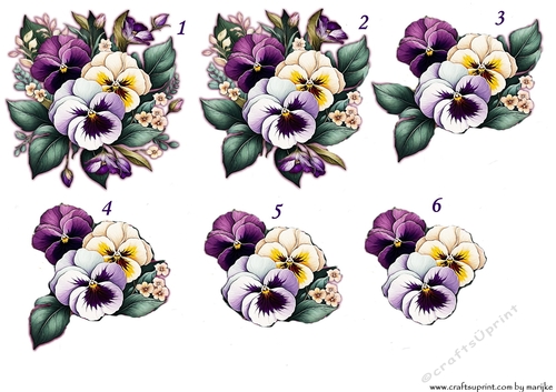  Step By Step Violets