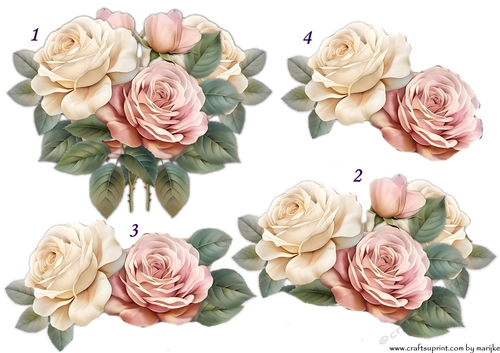  Step By Step Garden Roses