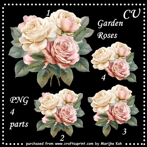 CU Garden Roses PNG