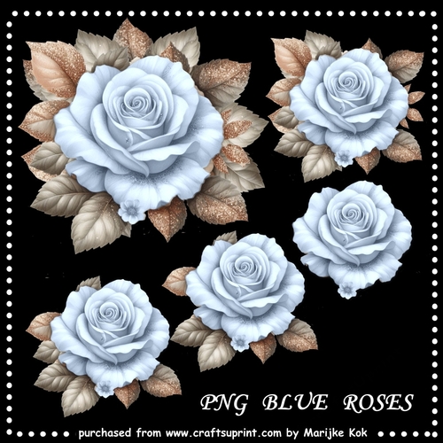 Blue Roses PNG