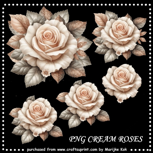 Cream Roses PNG