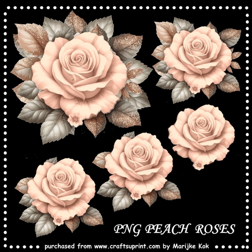 Peach Roses PNG