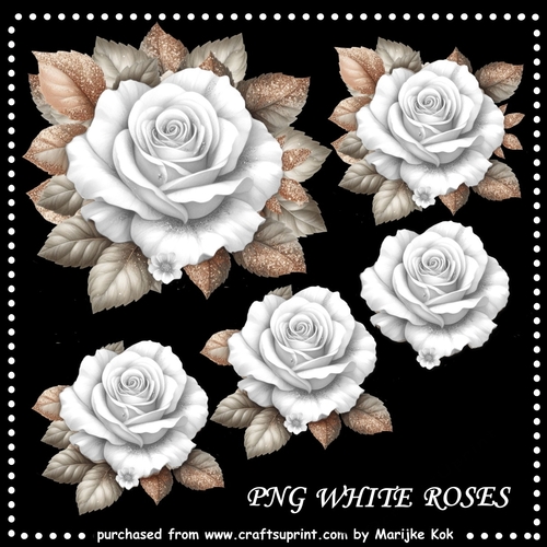 White Roses PNG