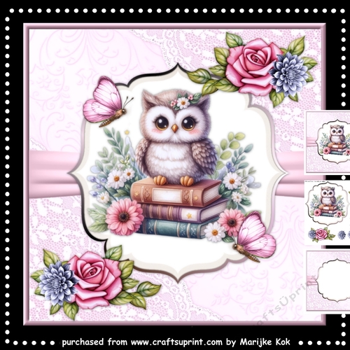 Cute Owl MiniKit