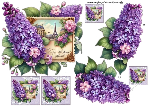 Step By Step Parisian Flowers