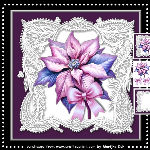 Winter Beauty  Mini Kit