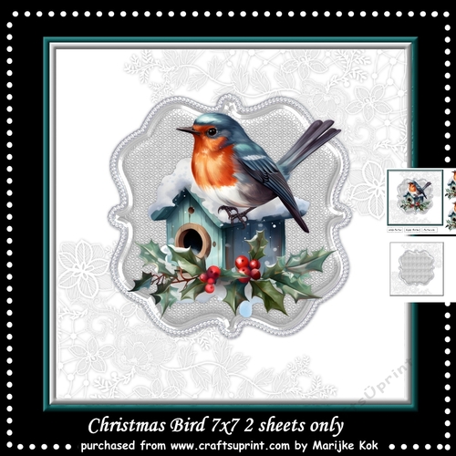 Christmas Bird Mini Kit